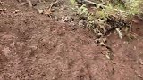住在山下的人家，常年因此困扰，看来要把山挖空！