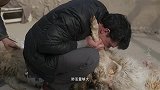 人生一串：已经完全被这个烤全羊给圈粉了，看着都流口水
