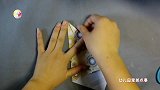 跟我学折纸-最好折的小鸟