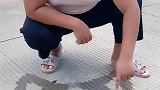 我可没叫你补画