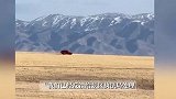 赛里木湖景区红色越野车旁若无人碾压草场