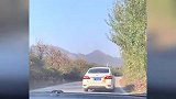 女子发现查酒驾时有车辆掉头，下一刻警车就追了上来：这大片啊！
