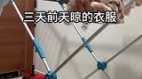 问南方晴为何物？
