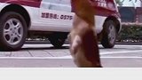 可以站着走路的公鸡你见过吗？