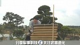 日本职业刀手露天展示“七并斩”，顶级高手将刀法发挥到极致