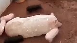这是你自己生的孩子，所有的罪还得自己受着