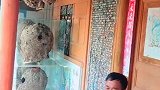 这么多马蜂窝，我还是第一次见！