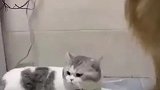 这是不是自取其辱？