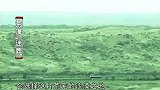 荒地发现千年古墓，陪葬物品大都是金丝楠木，墓主身份不简单！