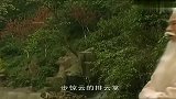 雄霸真不愧是一代奸雄，传绝学留一手，将风云跟绝心玩得团团转