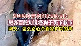得知房东要杀自家狗吃狗肉，房客百般劝说将狗子买下救下