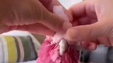 就说这种粉色小鸡谁不爱呢