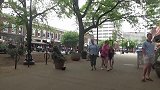 草人恶作剧，男子伪装成草人恶搞路人，路人防不胜防