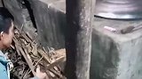 男子在家做铁锅炖大公鸡惊呆网友