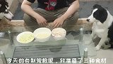 边牧怀孕一个月了，主人为它自制营养餐，看吃相就知道很开心！