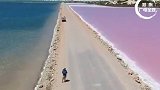 太美了！澳洲南部的Lake McDonnell湖，道路的两侧一边是粉色，一边是蓝色！