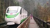 张家界景区森林小火车