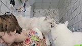 为什么后背长猫了