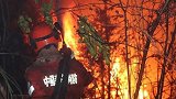 福建大田森林火灾正在扑救！