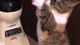 就买瓶水，有必要这么秀吗？