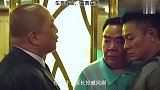 甄子丹、刘德华神作电影，堪称经典经典电影