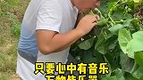 吹这个丝瓜，真锻炼肺活量啊