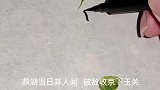 【壹斗】为她，吴三桂冲冠一怒为红颜，又为何最终遁入空门