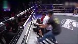 笑喷！中国泰拳选手一脚KO裁判 解说员狂喊：他踢倒了裁判！