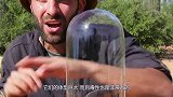 男子用无人机摧毁马蜂窝，马蜂立马包围无人机，画面太精彩了