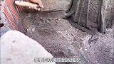 小伙用西瓜制作出一款精美的观赏性鱼池，真是太有创意了