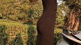 完美的身材行走的衣架，随意的搭配都魅力无限