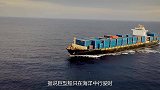 为何大型轮船出海时，后方总有成群鲨鱼跟随？