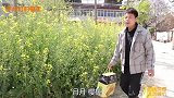 爸爸回来2：孩子们接爸爸回家，爸爸却要带走月月，月月会同意吗