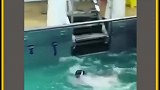 你敢相信吗，在河流里游泳居然会这么危险，太可怕了