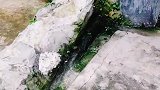 岁月静好还是小时候那口井