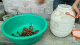 猜猜这是什么好吃的，拿开竹筛那一刻，猛吃了5碗米饭