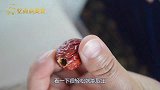 烤脆枣最经典的做法，又香又甜嘎嘎脆，当零食最好了！