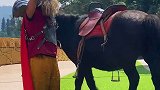 原来童话里的“小人国”真的存在