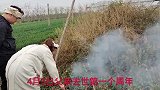 清明节：带女儿女婿上坟祭祖，打破传统习俗，合适吗