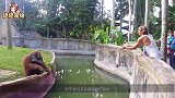 老鼠露天洗澡，动作娴熟还用沐浴露，成精了么？