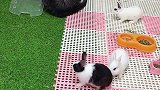 一群看热闹的