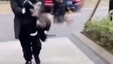 爸爸回家后，女儿立即奔向父亲，结果被狗子领先了！