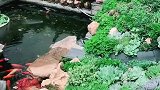 人生最大的幸福，就是每日不愁三餐，还有一家开满繁花的庭院。