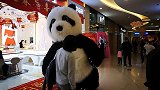 第一次看见这么大的熊猫，是假的啊，但还是非常喜欢！