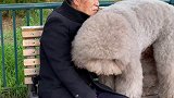 五一去公园，爷爷走累了，在长椅上休息下，呆萌最亲的还是爷爷呀
