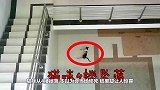 猫咪从4搂掉落，本以为会当场惨死，结果却让人惊喜