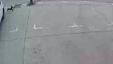 狗狗边跑边叫为轮胎导航，名副其实的导航犬