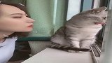 小猫咪你干啥呢，这位小姐姐可是我的