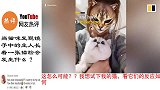 当猫咪发现镜子中的主人长着一张猫脸 外国网友：当时我害怕极了