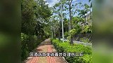 女子疑遭蛇咬身亡，家属：她曾告知医生或被蛇咬，遗体仍在病房中